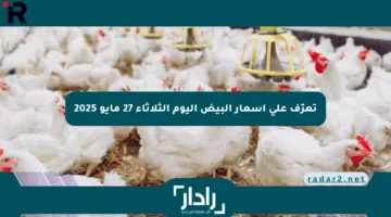 تعرّف على أسعار البيض اليوم الثلاثاء 27 مايو 2025